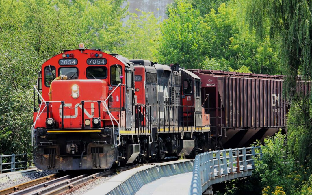 Das filarmônicas da Bahia para o mundo
